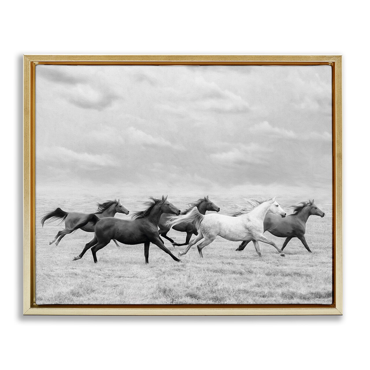 Stupell Industries Galloping Horse Herd Floating Frame By PHBurchett